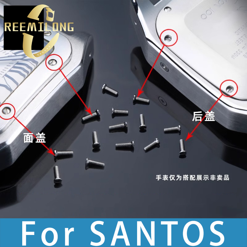 2pcs Watch cover screws for Sa - Men'S Accessories Cartier avis et prix